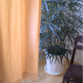 �����ƥ� �ץ�͡��� 135